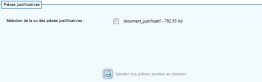 Pièces justificatives